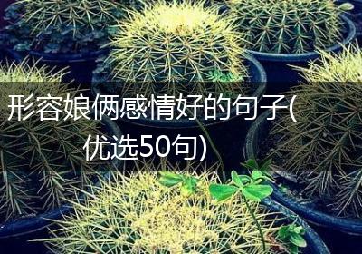 形容娘俩感情好的句子(优选50句)