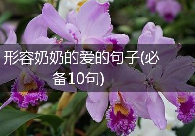 形容奶奶的爱的句子(必备10句)