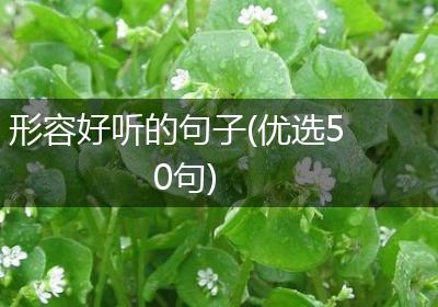 形容好听的句子(优选50句)
