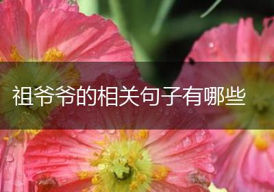 祖爷爷的相关句子有哪些