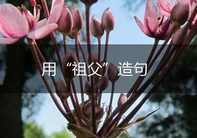 用“祖父”造句