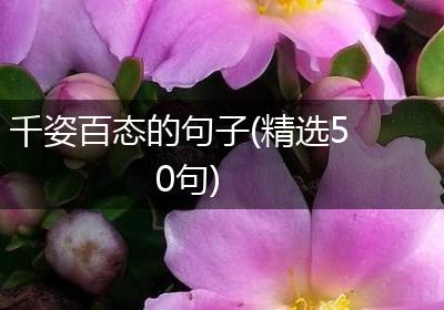 千姿百态的句子(精选50句)