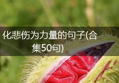 化悲伤为力量的句子(合集50句)