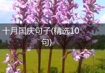 十月国庆句子(精选10句)