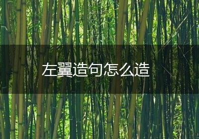 左翼造句怎么造
