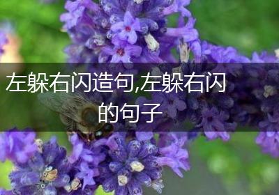 左躲右闪造句,左躲右闪的句子