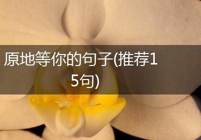 原地等你的句子(推荐15句)