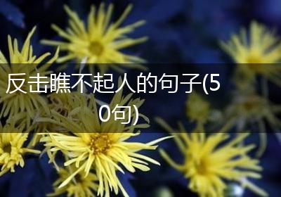 反击瞧不起人的句子(50句)