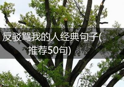 反驳骂我的人经典句子(推荐50句)