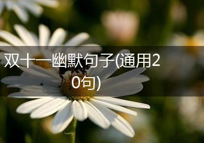 双十一幽默句子(通用20句)