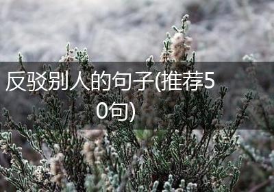 反驳别人的句子(推荐50句)