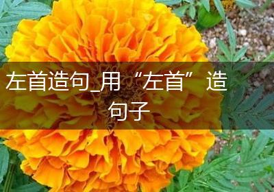 左首造句_用“左首”造句子