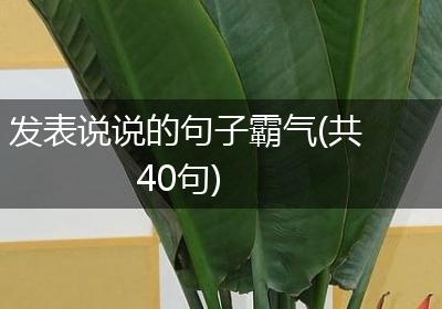 发表说说的句子霸气(共40句)
