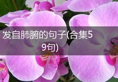 发自肺腑的句子(合集59句)