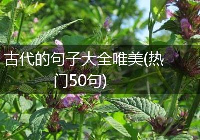 古代的句子大全唯美(热门50句)