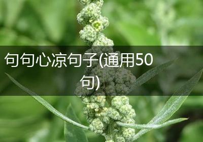 句句心凉句子(通用50句)