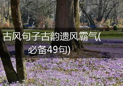 古风句子古韵遗风霸气(必备49句)