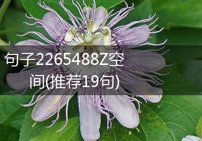 句子2265488Z空间(推荐19句)