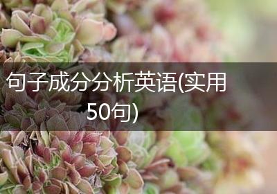 句子成分分析英语(实用50句)