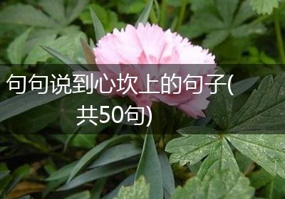 句句说到心坎上的句子(共50句)