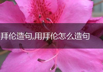 拜伦造句,用拜伦怎么造句