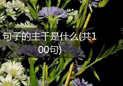 句子的主干是什么(共100句)