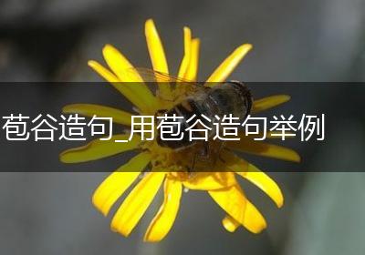 苞谷造句_用苞谷造句举例
