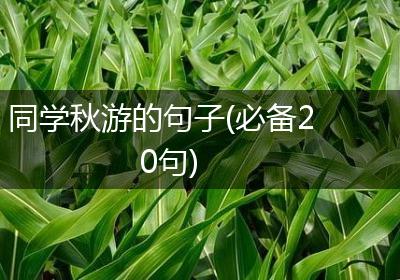 同学秋游的句子(必备20句)