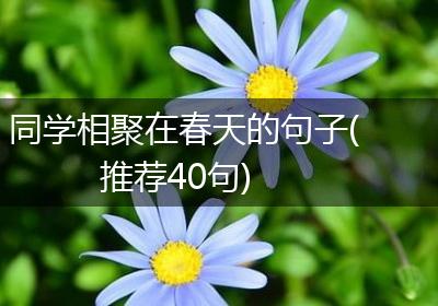 同学相聚在春天的句子(推荐40句)