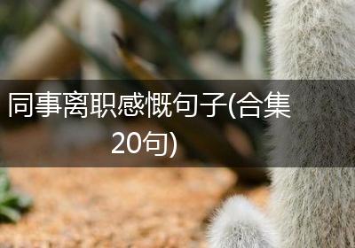 同事离职感慨句子(合集20句)