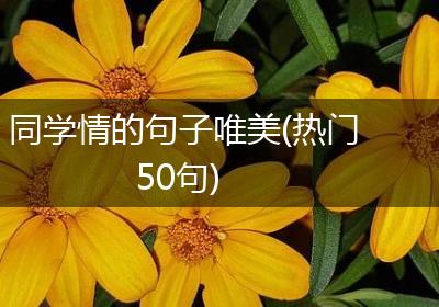 同学情的句子唯美(热门50句)