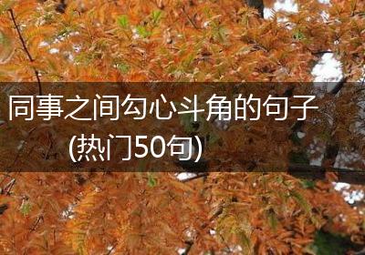 同事之间勾心斗角的句子(热门50句)