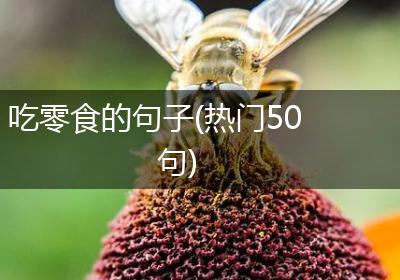 吃零食的句子(热门50句)