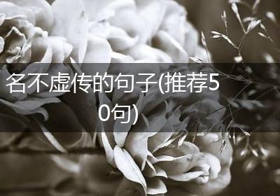 名不虚传的句子(推荐50句)