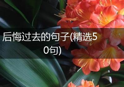 后悔过去的句子(精选50句)