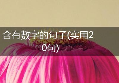 含有数字的句子(实用20句)