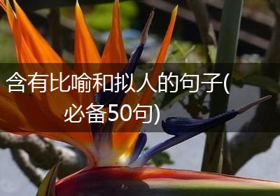 含有比喻和拟人的句子(必备50句)