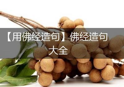 【用佛经造句】佛经造句大全
