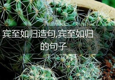宾至如归造句,宾至如归的句子
