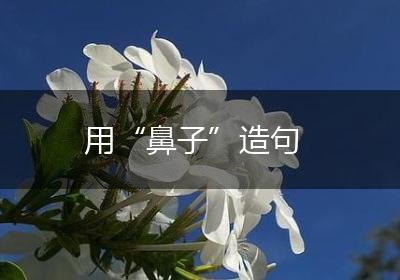 用“鼻子”造句