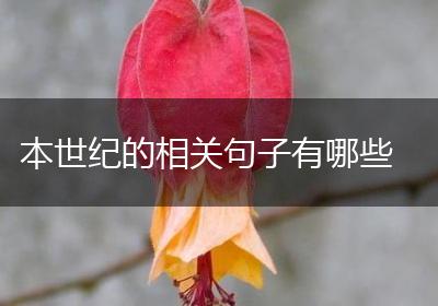 本世纪的相关句子有哪些