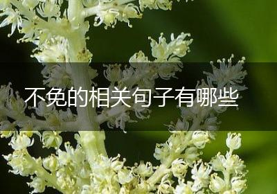 不免的相关句子有哪些