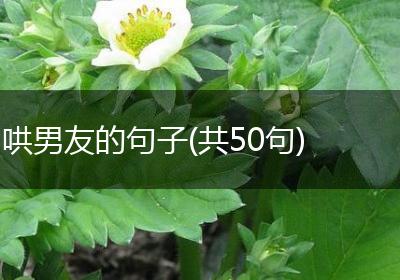 哄男友的句子(共50句)