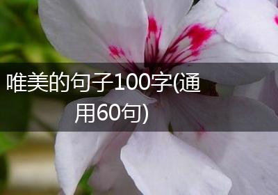 唯美的句子100字(通用60句)