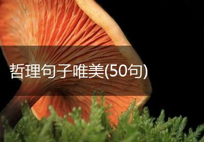 哲理句子唯美(50句)