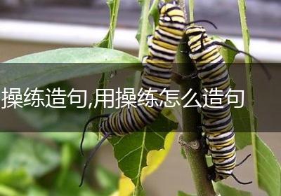 操练造句,用操练怎么造句