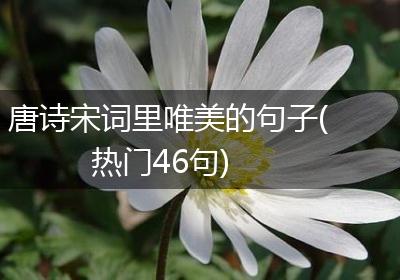 唐诗宋词里唯美的句子(热门46句)
