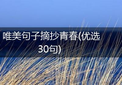 唯美句子摘抄青春(优选30句)