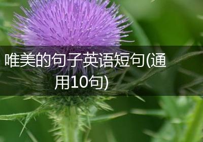 唯美的句子英语短句(通用10句)