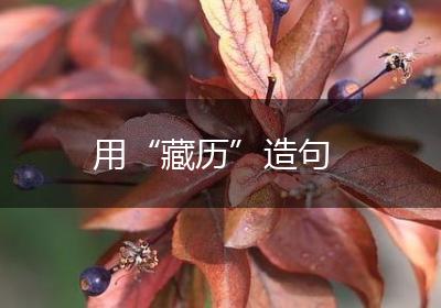用“藏历”造句